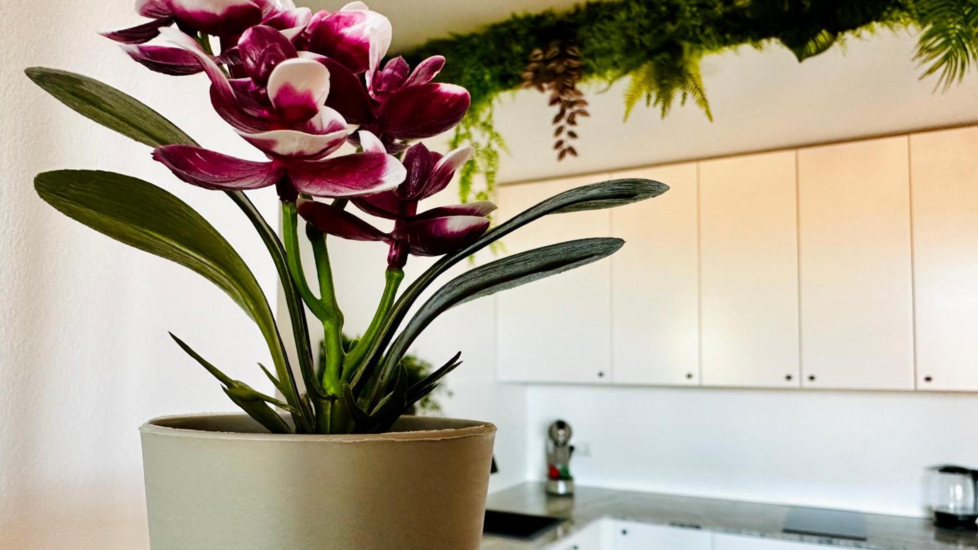 Garden Of Eden Modern Apartments - Apartello,Com Свети-Влас Экстерьер фото